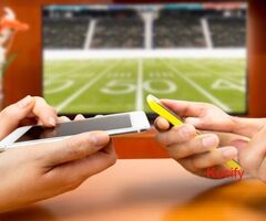 Cricket Fever? Bet on Your Favorite Teams with ReddyBook