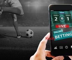 Trusted Betting App with 24/7 Support – Try ReddyBook Today!