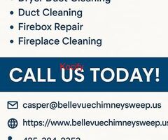 Bellevue Chimney Sweep
