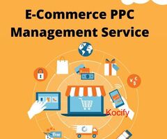 Transform Your Ecommerce Store with Proven PPC Strategies