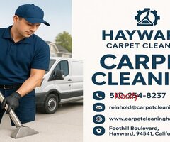 Hayward Carpet Cleaning