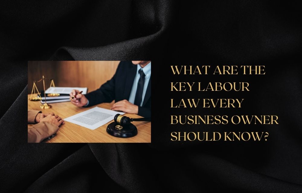 What Are the Key Labour Law Every Business Owner Should Know