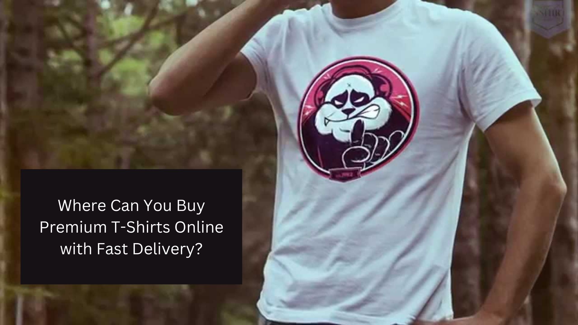 Where Can You Buy Premium T-Shirts Online with Fast Delivery