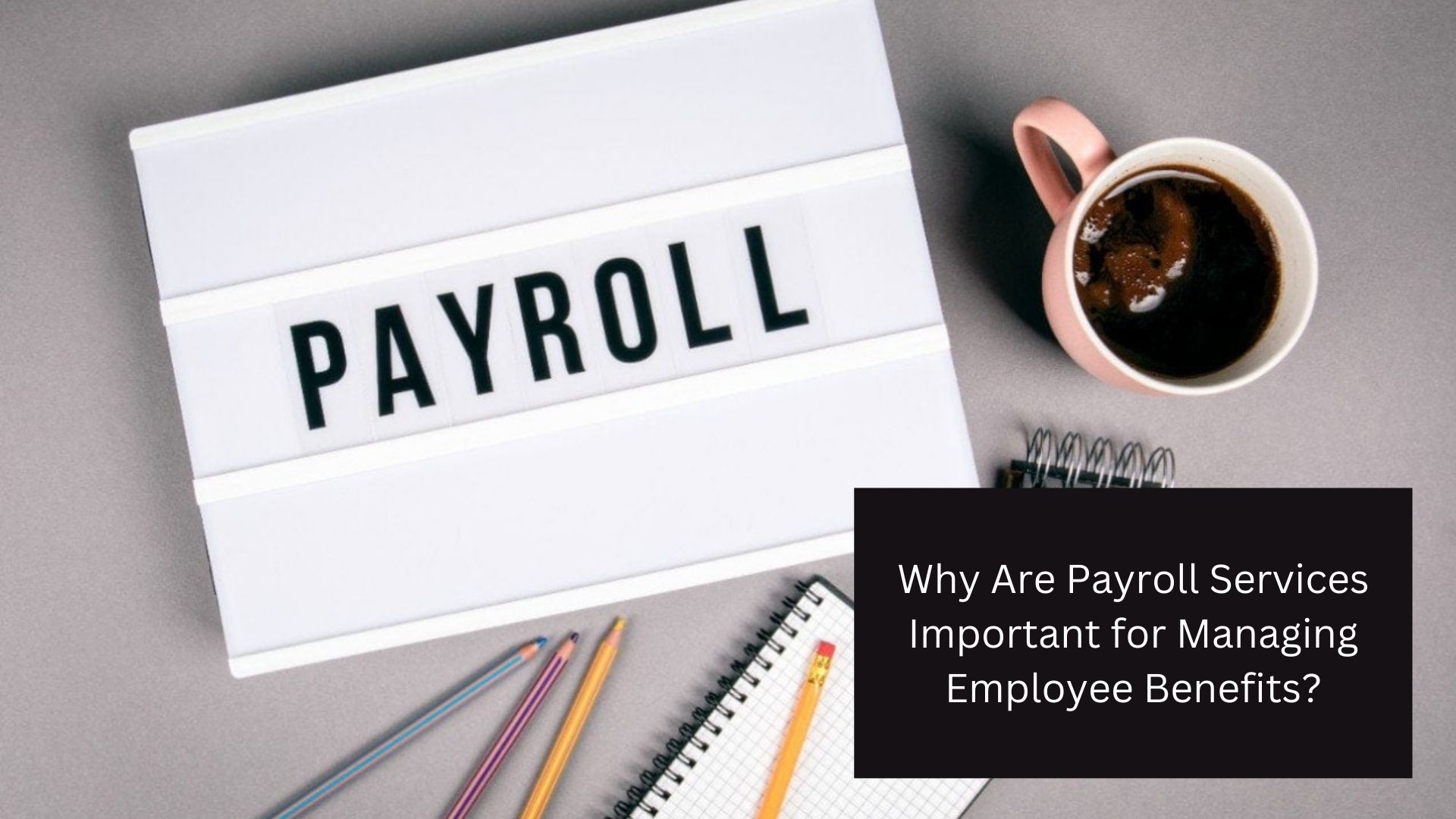 Why Are Payroll Services Important for Managing Employee Benefits