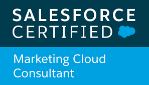 Salesforce Marketing Cloud consultants