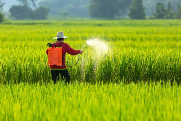 pesticides and insecticides